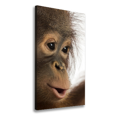Fotografía en lienzo vertical Orangután joven