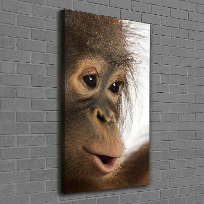 Fotografía en lienzo vertical Orangután joven