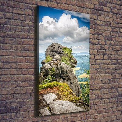 Foto obraz na płótnie pionowy Szczeliniec Wielki