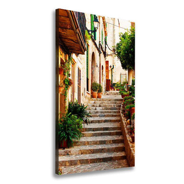 Impresión en lienzo vertical Calles en España