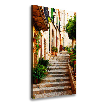 Impresión en lienzo vertical Calles en España