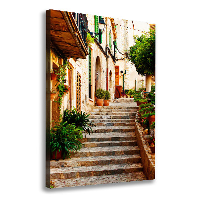 Impresión en lienzo vertical Calles en España