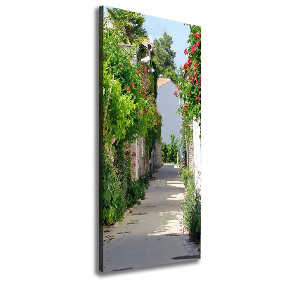 Cuadro moderno en lienzo resistente uv vertical calles francesas