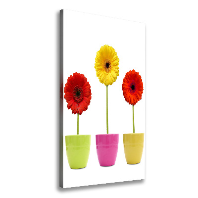 Cuadro moderno en lienzo resistente uv vertical Gerberas de colores