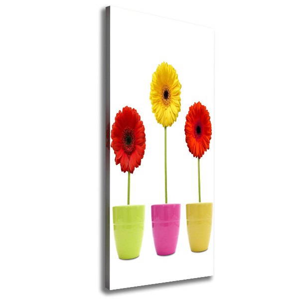 Cuadro moderno en lienzo resistente uv vertical Gerberas de colores