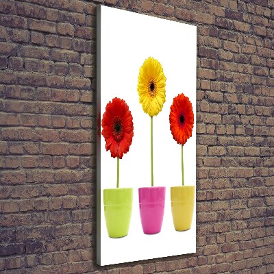 Cuadro moderno en lienzo resistente uv vertical Gerberas de colores