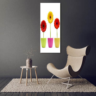 Cuadro moderno en lienzo resistente uv vertical Gerberas de colores