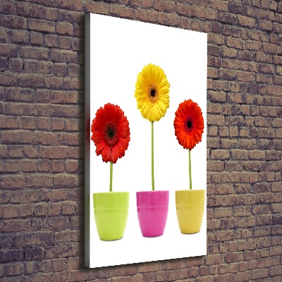 Cuadro moderno en lienzo resistente uv vertical Gerberas de colores
