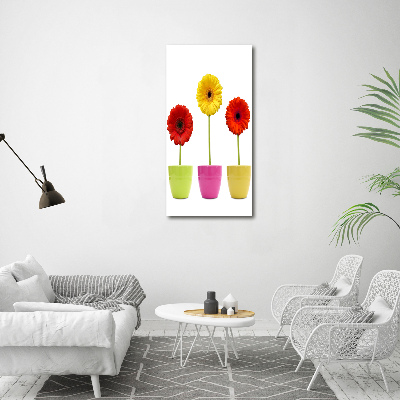 Cuadro moderno en lienzo resistente uv vertical Gerberas de colores