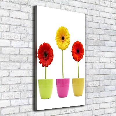 Cuadro moderno en lienzo resistente uv vertical Gerberas de colores