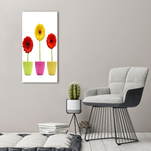 Cuadro moderno en lienzo resistente uv vertical Gerberas de colores