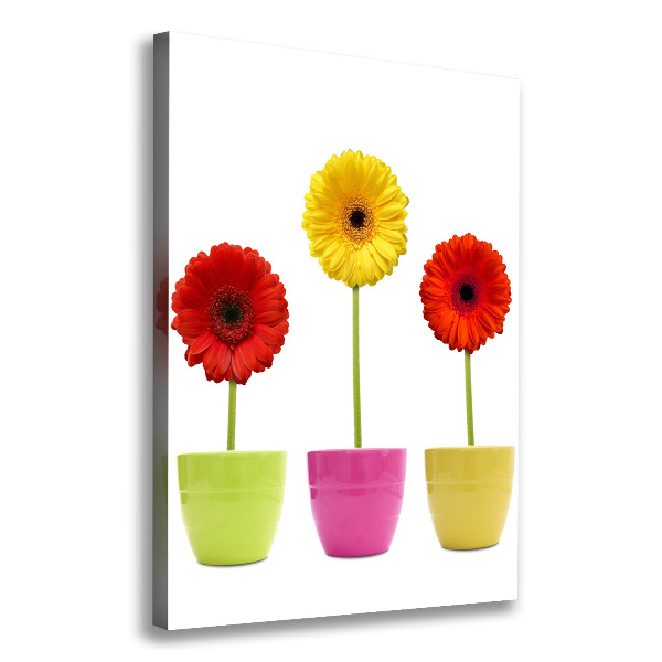 Cuadro moderno en lienzo resistente uv vertical Gerberas de colores