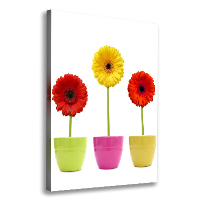 Cuadro moderno en lienzo resistente uv vertical Gerberas de colores