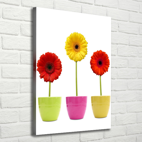 Cuadro moderno en lienzo resistente uv vertical Gerberas de colores