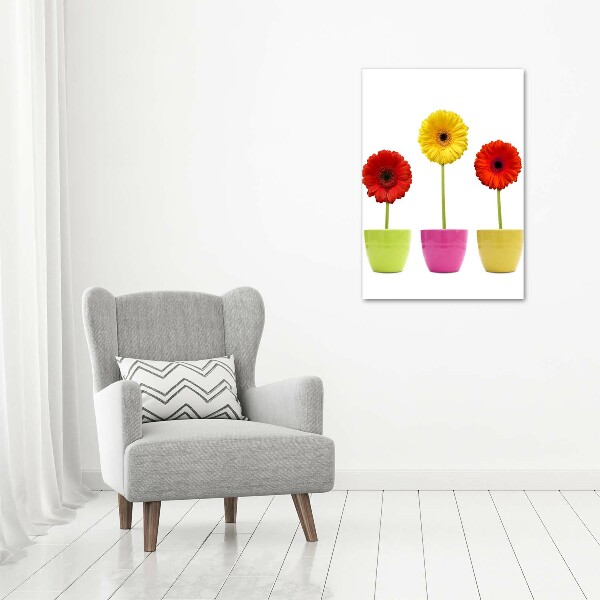 Cuadro moderno en lienzo resistente uv vertical Gerberas de colores