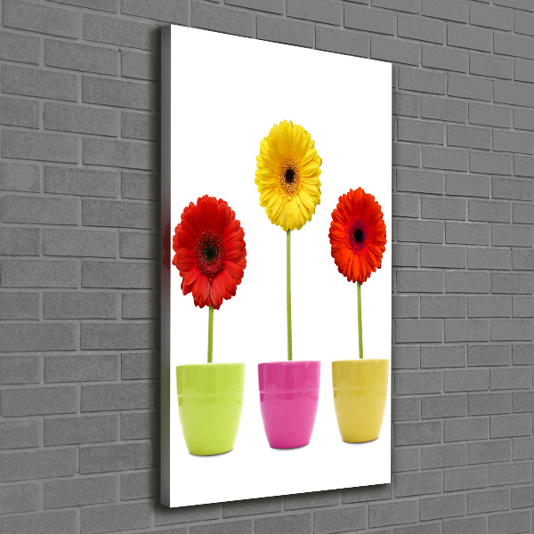 Cuadro moderno en lienzo resistente uv vertical Gerberas de colores