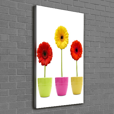 Cuadro moderno en lienzo resistente uv vertical Gerberas de colores
