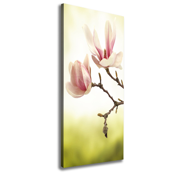 Impresión en lienzo vertical flores de magnolia
