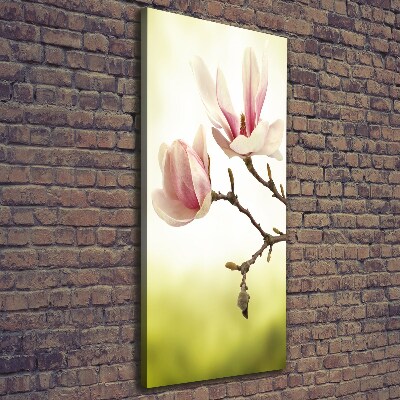 Impresión en lienzo vertical flores de magnolia