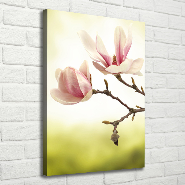 Impresión en lienzo vertical flores de magnolia