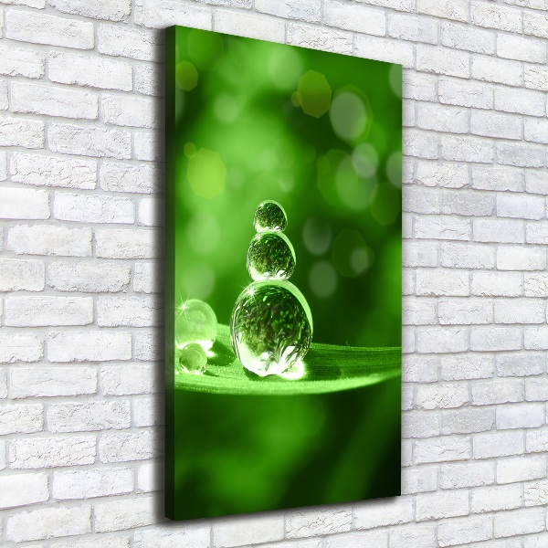 Fotografía en lienzo vertical Gotas sobre la hierba