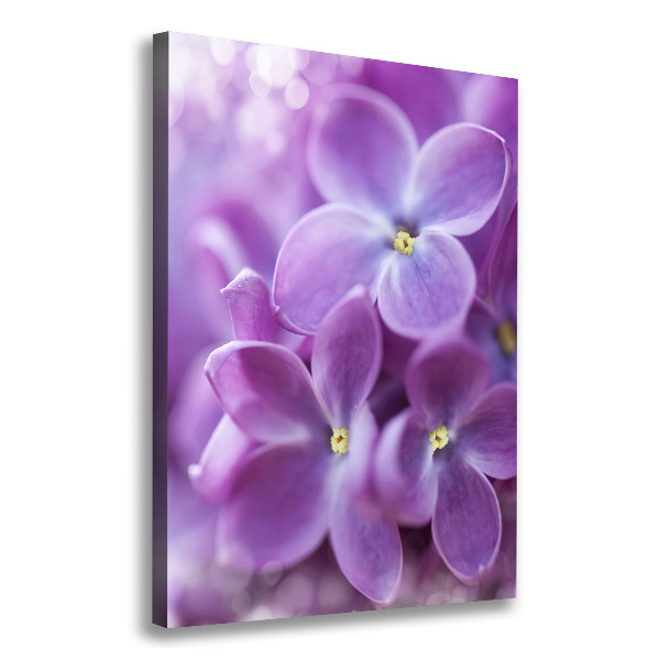 Cuadro canvas decorativo para salón vertical flores lilas