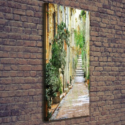 Cuadro moderno en lienzo resistente uv vertical calles italianas
