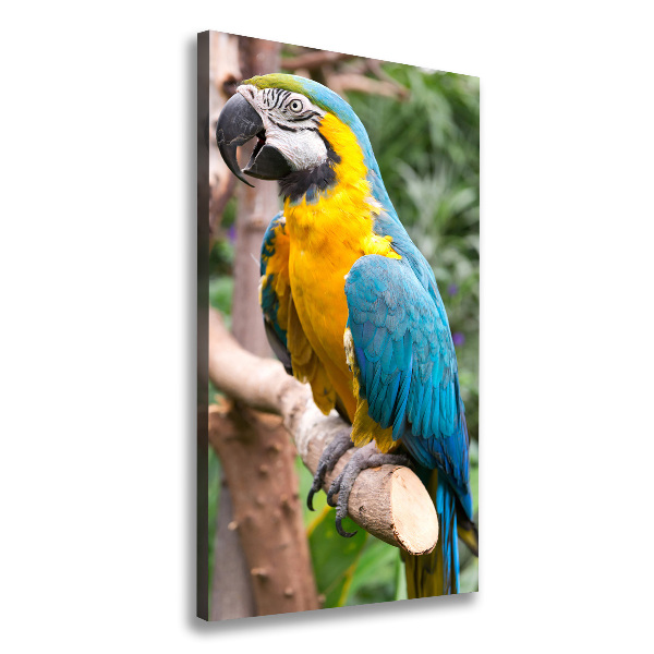 Impresión en lienzo vertical Loro guacamayo