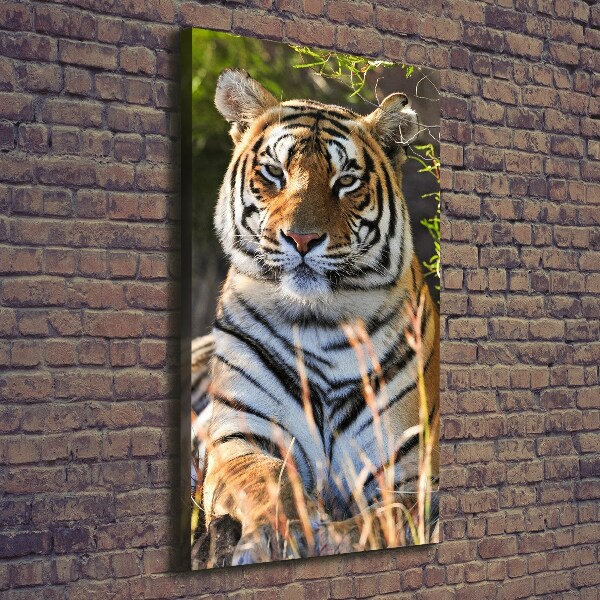 Cuadro canvas decorativo para salón vertical Tigre
