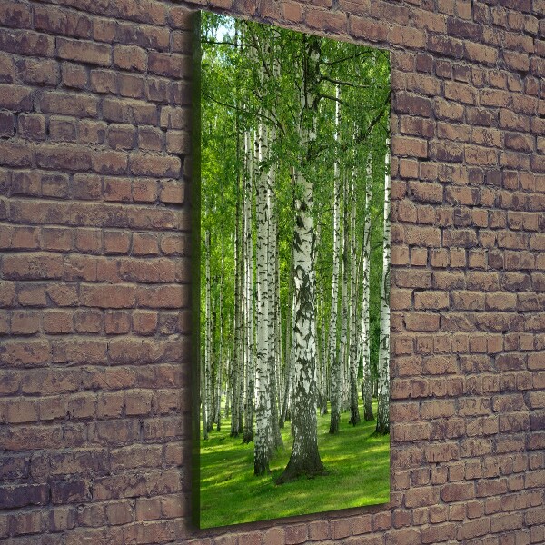 Fotografía en lienzo vertical bosque de abedules