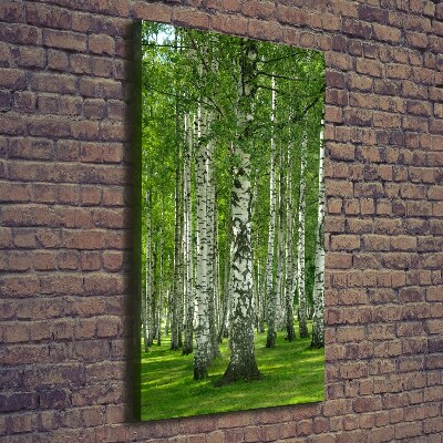 Fotografía en lienzo vertical bosque de abedules