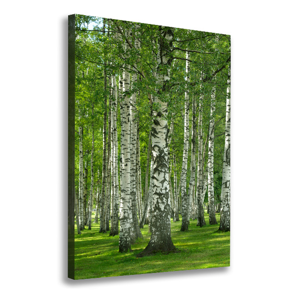 Fotografía en lienzo vertical bosque de abedules