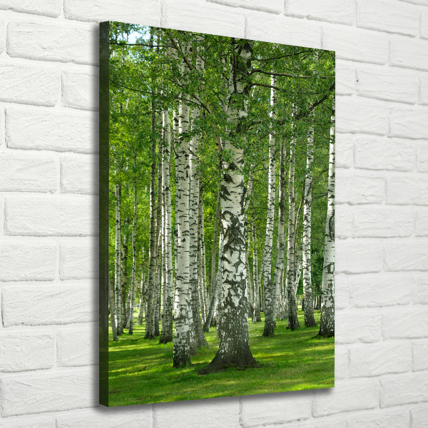 Fotografía en lienzo vertical bosque de abedules