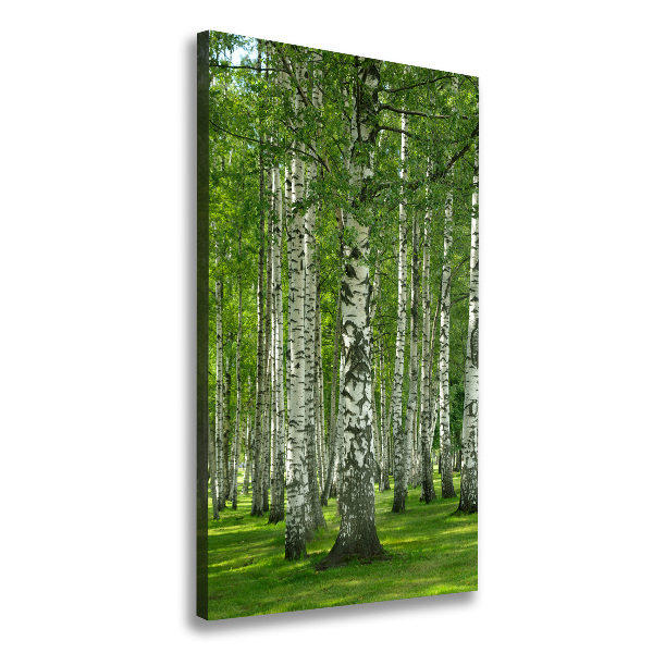 Fotografía en lienzo vertical bosque de abedules