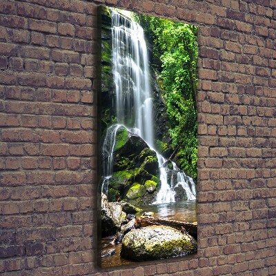 Cuadro moderno en lienzo resistente uv vertical Cascada en la selva
