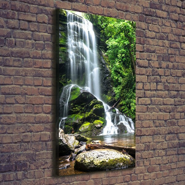 Cuadro moderno en lienzo resistente uv vertical Cascada en la selva