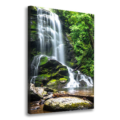 Cuadro moderno en lienzo resistente uv vertical Cascada en la selva