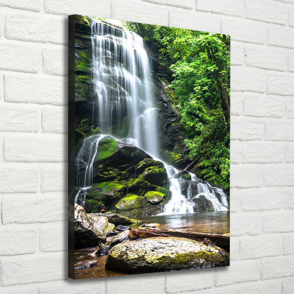 Cuadro moderno en lienzo resistente uv vertical Cascada en la selva