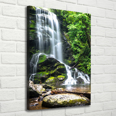 Cuadro moderno en lienzo resistente uv vertical Cascada en la selva