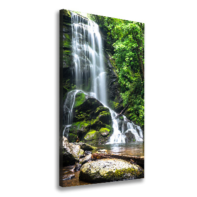 Cuadro moderno en lienzo resistente uv vertical Cascada en la selva