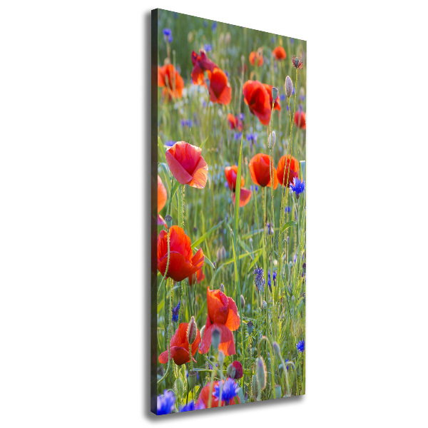 Cuadro moderno en lienzo resistente uv vertical Amapolas de campo
