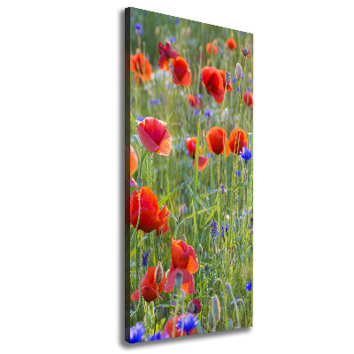 Cuadro moderno en lienzo resistente uv vertical Amapolas de campo