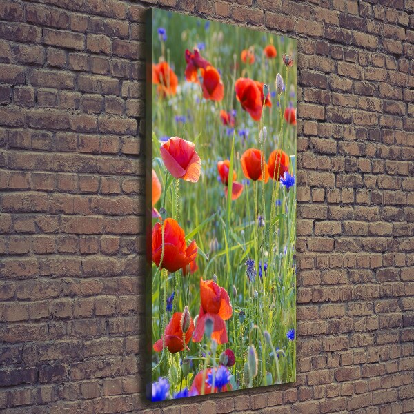 Cuadro moderno en lienzo resistente uv vertical Amapolas de campo