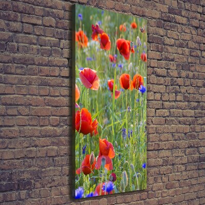Cuadro moderno en lienzo resistente uv vertical Amapolas de campo