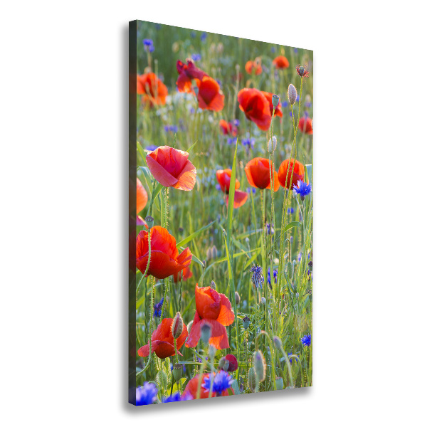 Cuadro moderno en lienzo resistente uv vertical Amapolas de campo
