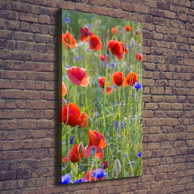Cuadro moderno en lienzo resistente uv vertical Amapolas de campo