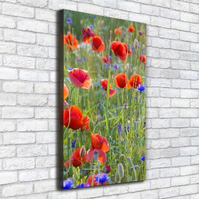 Cuadro moderno en lienzo resistente uv vertical Amapolas de campo
