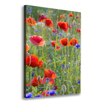 Cuadro moderno en lienzo resistente uv vertical Amapolas de campo