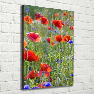 Cuadro moderno en lienzo resistente uv vertical Amapolas de campo