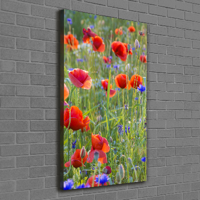 Cuadro moderno en lienzo resistente uv vertical Amapolas de campo
